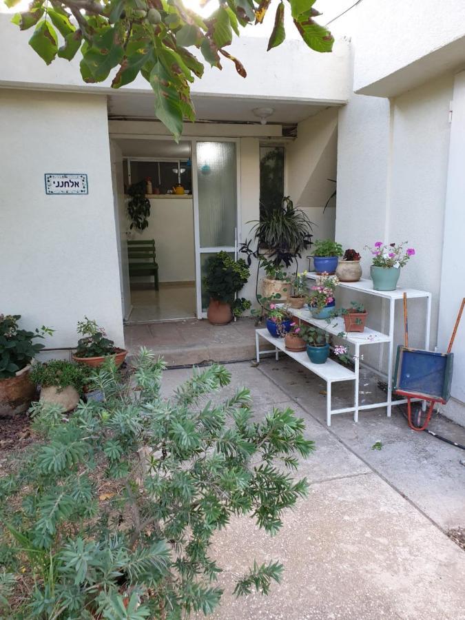פינה חמה ברמה Apartment Ein Zivan Bagian luar foto