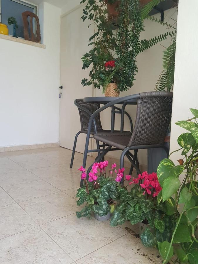 פינה חמה ברמה Apartment Ein Zivan Bagian luar foto